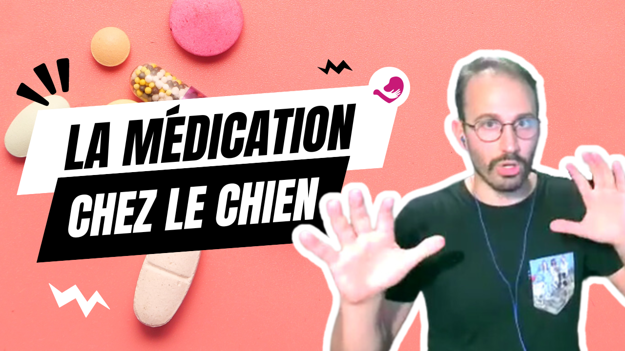 la médication chez le chien avec Francis Rousseau