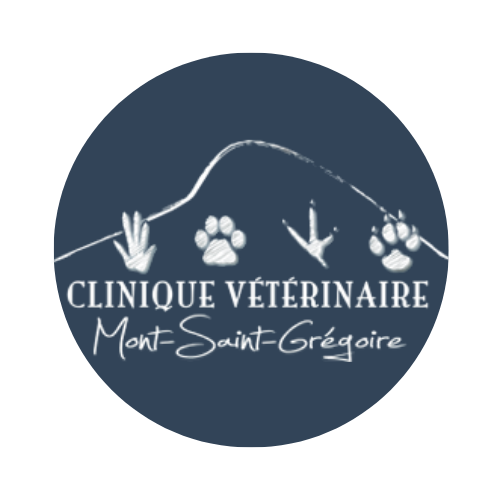 Clinique vétérinaire Mont Saint Grégoire