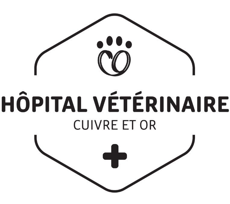 Hopital vétérinaire cuivre et or / de l'Anode